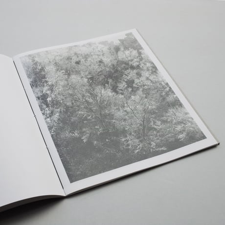 Awoiska van der Molen / Blanco