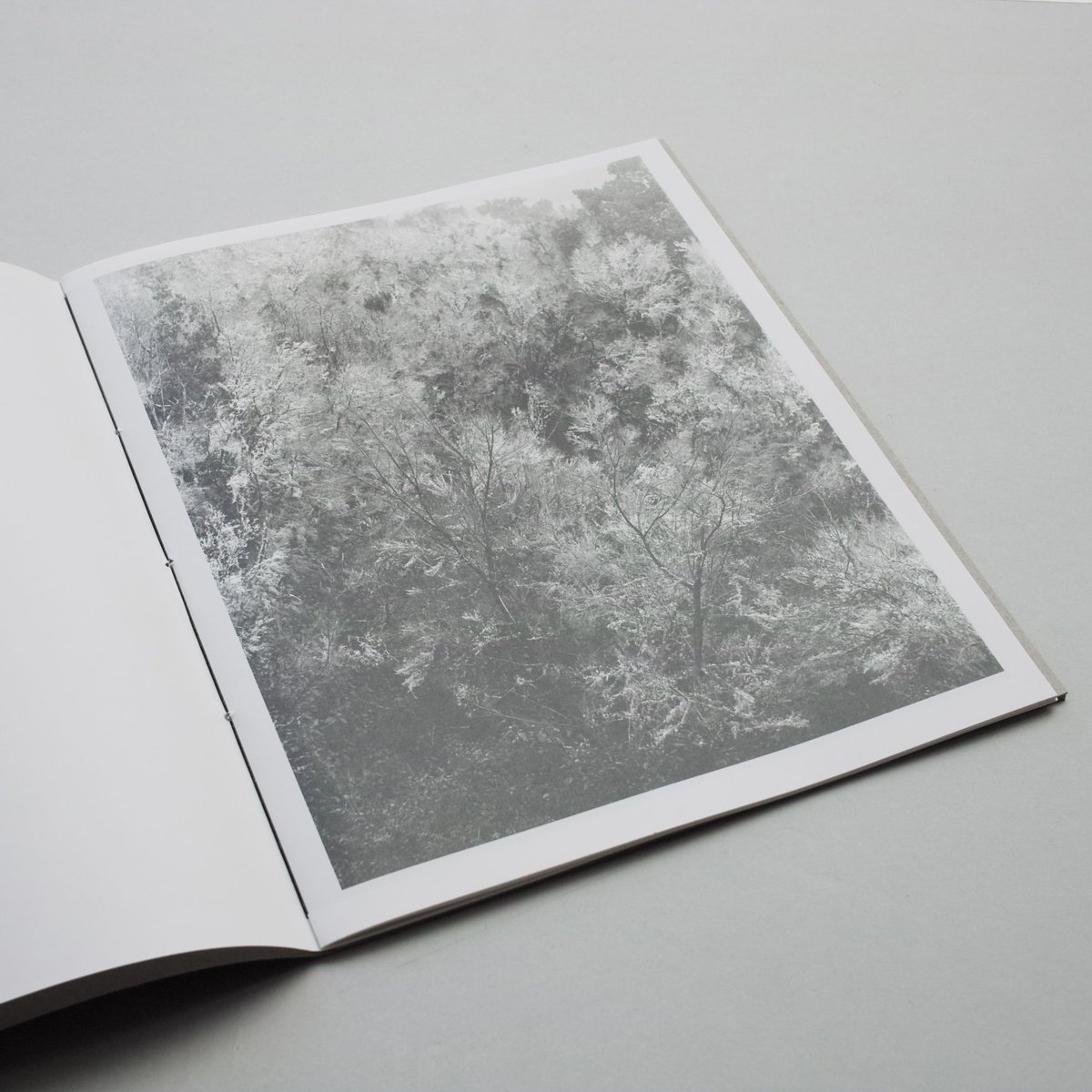 Awoiska van der Molen / Blanco | POST