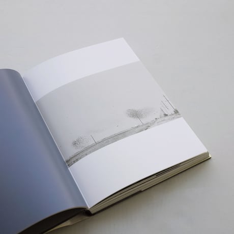 Lukas Felzmann / Swarm
