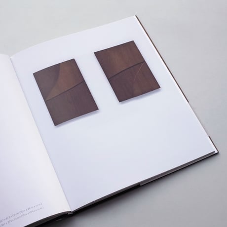 Ellsworth Kelly / Wood Sculpture