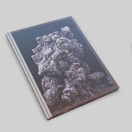 Martin Tscholl  / Imaginary Ecologies
