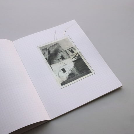 Robert Frank / Come Again