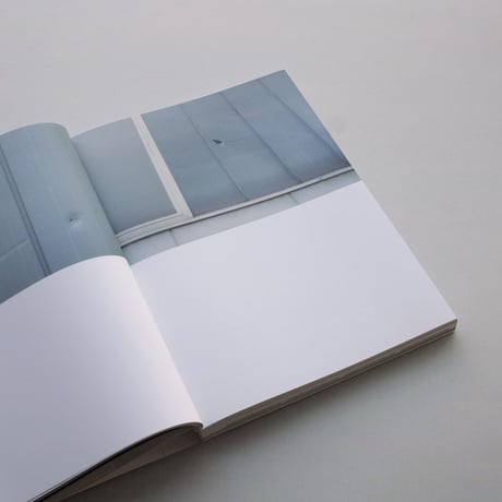 Alina Schmuch / Script of Demolition