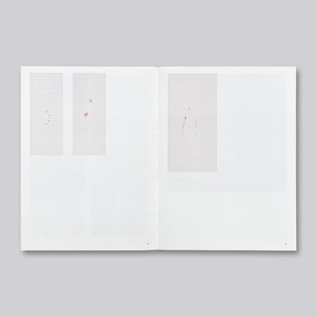 Irene Kopelman / A Matter of Framing. Notes on Representation Vol. 13