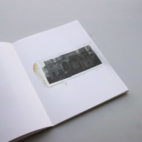 Robert Frank / Come Again