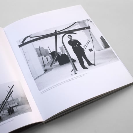 Anthony Caro / Works from the 1960s