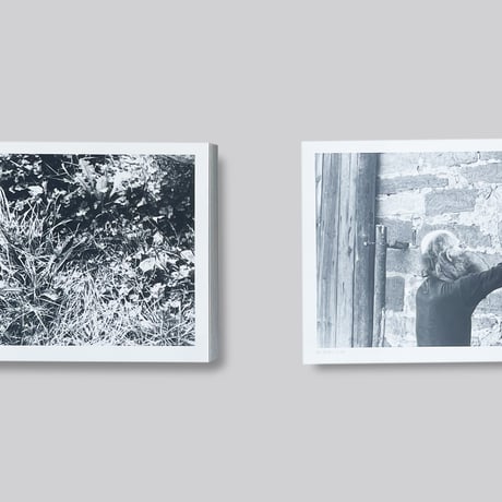 Herman de vries / A Random Sample Of The Seeings Of My Beings