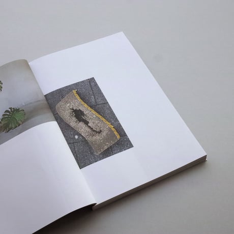 Sara Bjarland / Groundwork