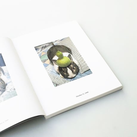 Erik Kessels & Hironori Akutagawa / In Almost Every Picture