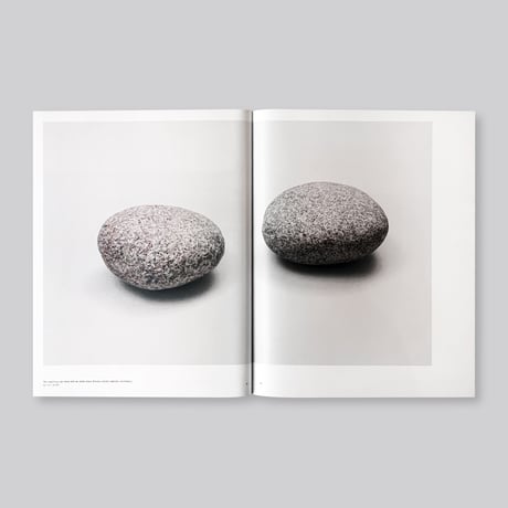 Vija Celmins