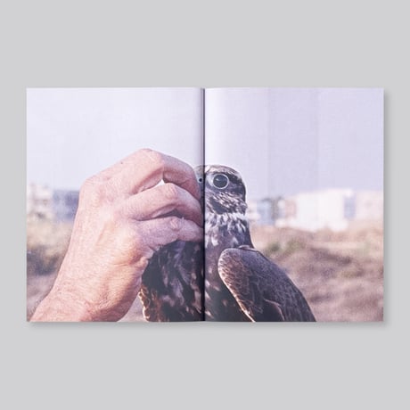 Elisa Caldana / The Falcon of Karachi