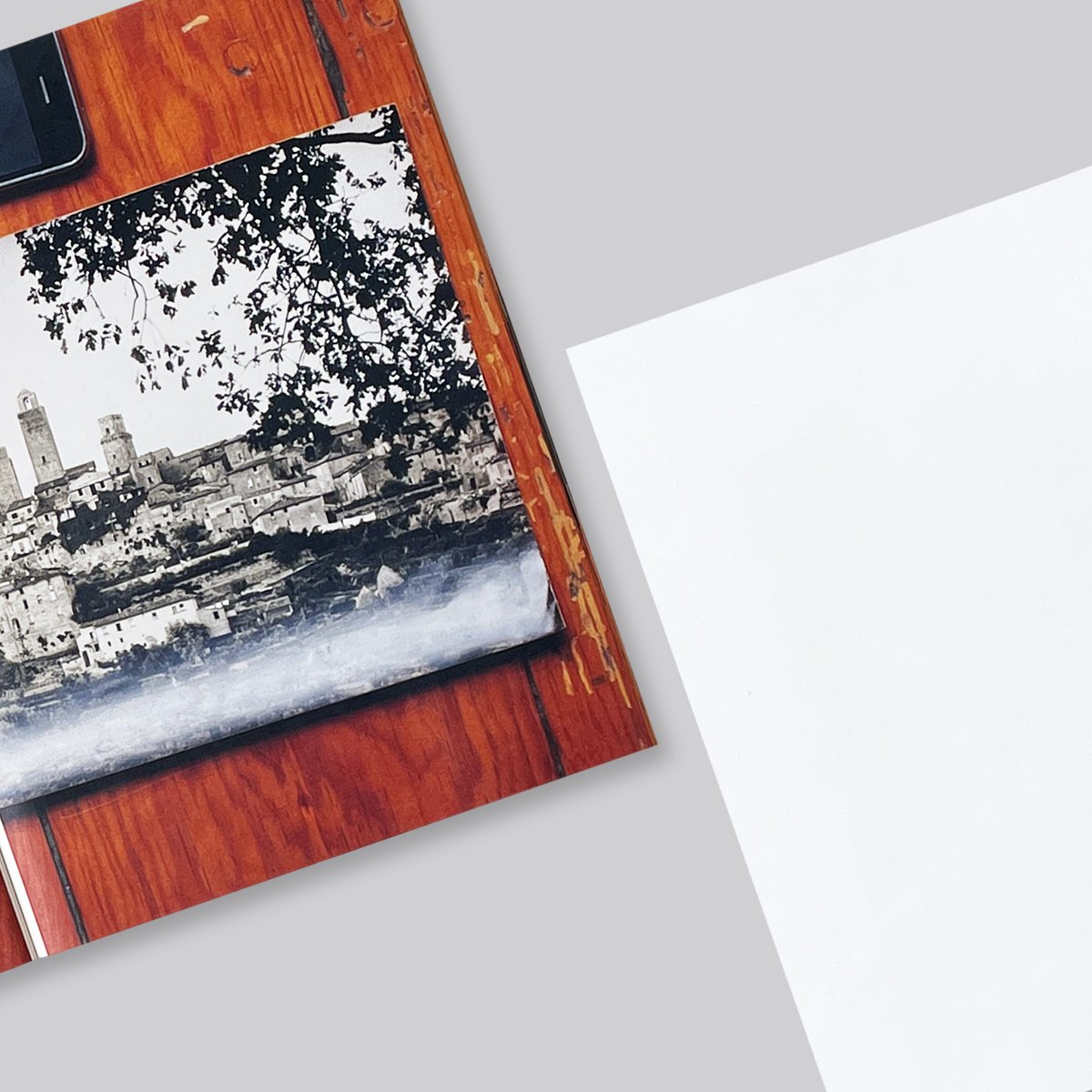 Mark Manders, Roger Willems / The Images of Lui