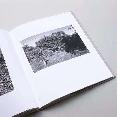 Robert Adams / Standing Still
