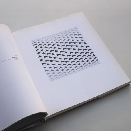 Bridget Riley / Bridget Riley