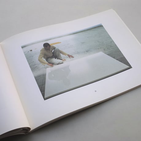 Wolfgang Laib / Wolfgang Laib
