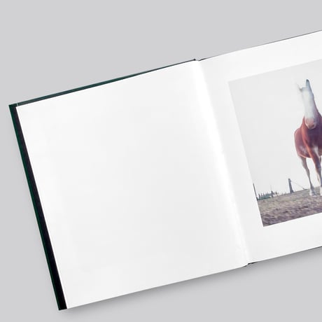 Alessandra Sanguinetti / ON THE SIXTH DAY[SIGNED]