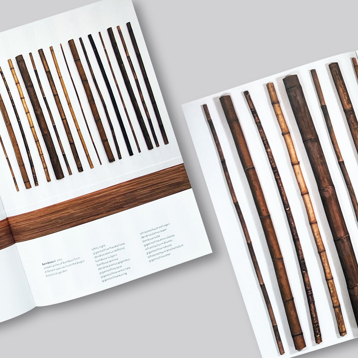 herman de vries / basic values | POST