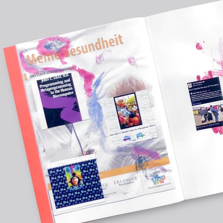 Angela Stiegler, Shila Rastizadeh / Schwindeltagebuch