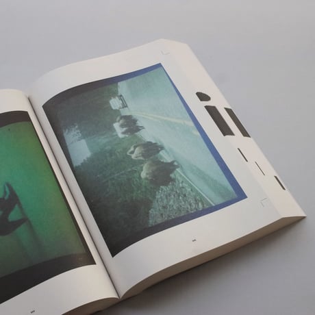 Reading the American Landscape