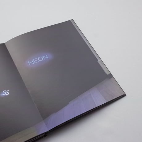 Joseph Kosuth / Neon In Contextual Play