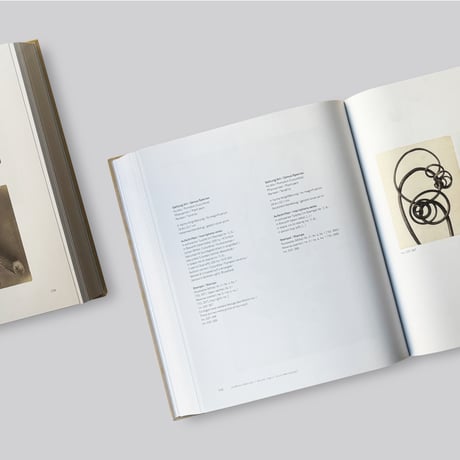 Karl Blossfeldt / Photography in the Light of Art