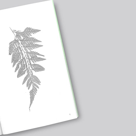 Jamie Yeo / Plant Scans
