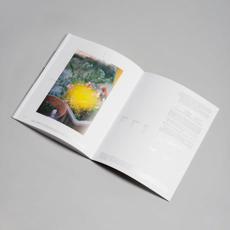 Revue Diapo N°003 - Kanade Hamamoto