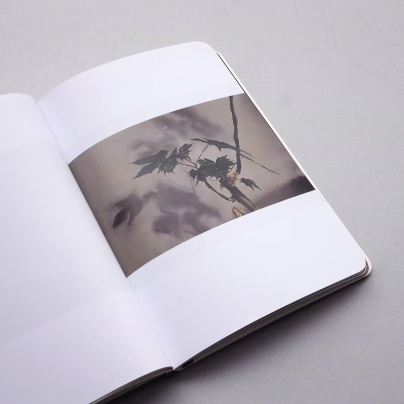 Michaël Borremans / The Duck | POST