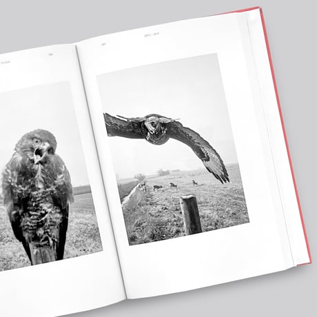 Stephen Gill / Coming up for Air: Stephen Gill – A Retrospective