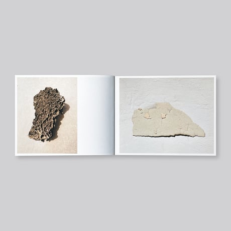 Adam Thorman / Creatures Found