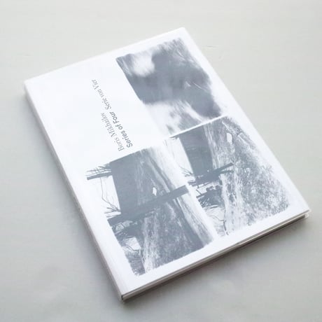 Boris Mikhailov / Series of four