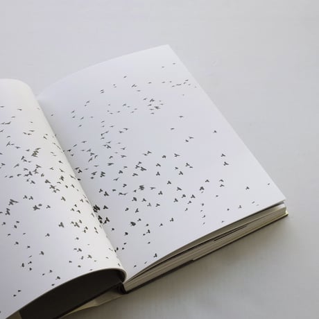 Lukas Felzmann / Swarm