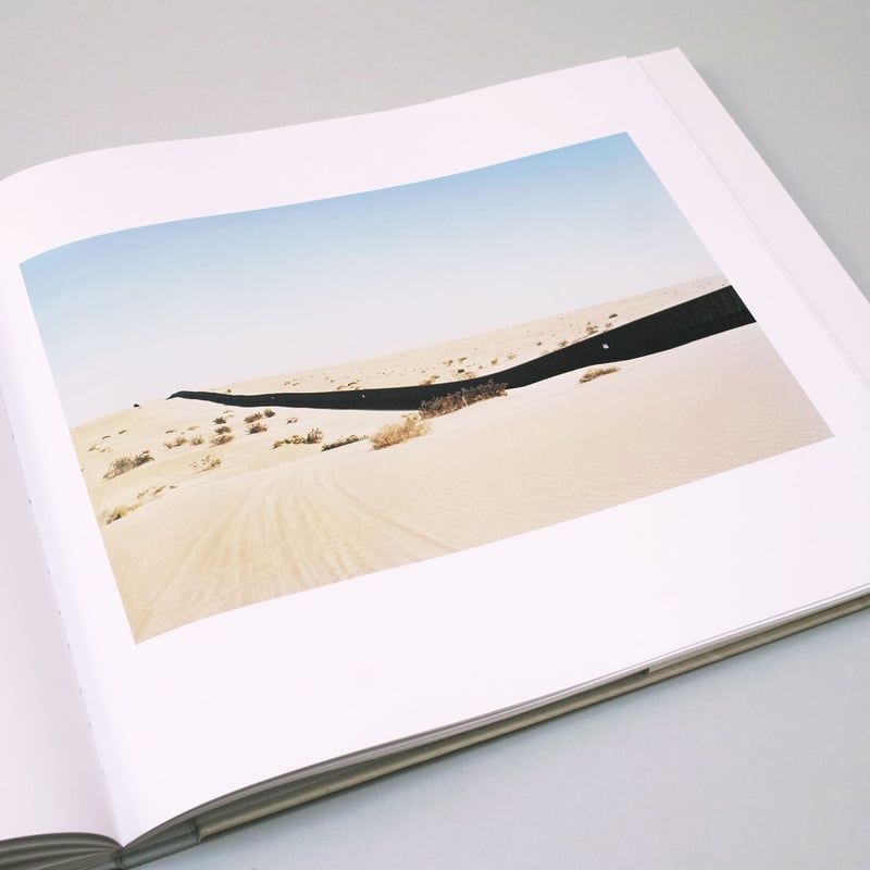 Victoria Sambunaris / TAXONOMY OF A LANDSCAPE |