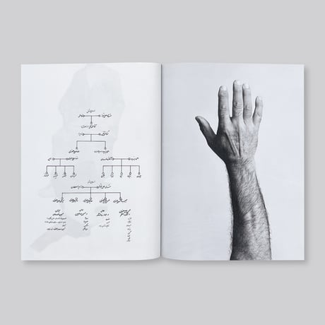 Mashid Mohadjerin / Riding in Silence & the Crying Dervish