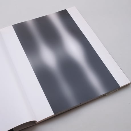 Carsten Nicolai / fades