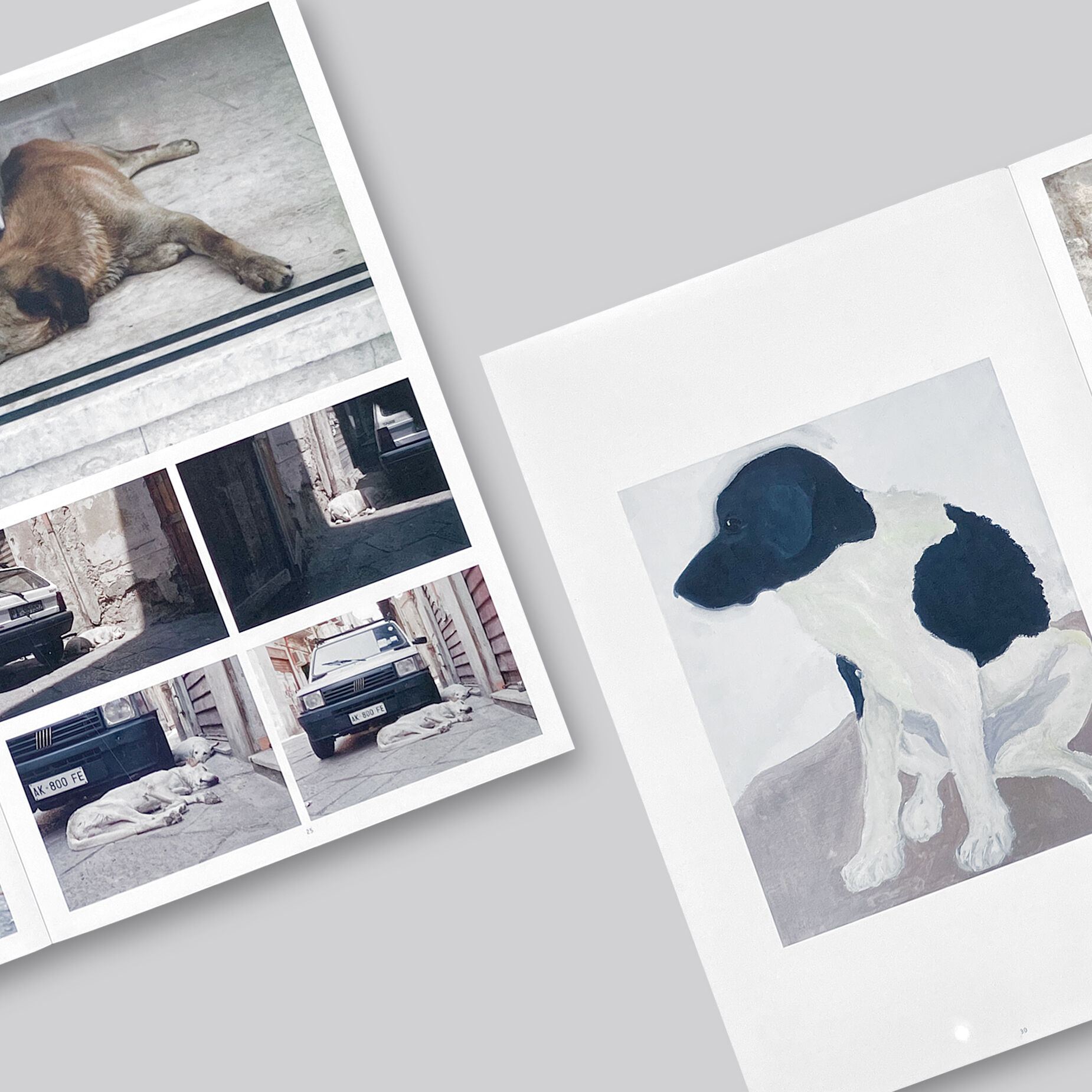 Charlotte Dumas / A TERRA | POST