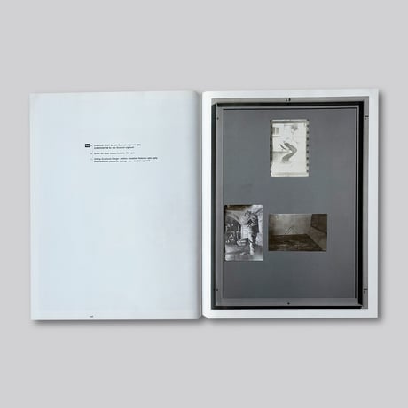 Joseph Beuys / ARENA—WHERE WOULD I HAVE GOT IF I HAD BEEN INTELLIGENT!