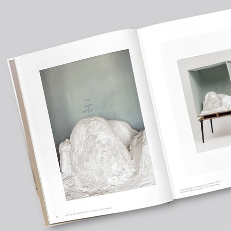 Mark Manders / Zeno X Gallery