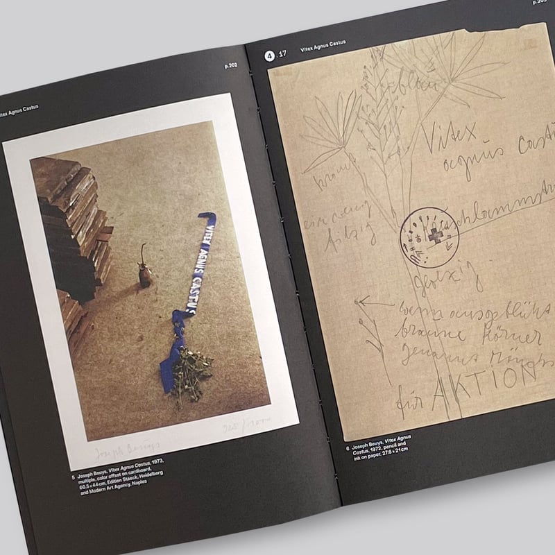 Joseph Beuys Aktionen 1963-1986 | POST Joseph Beuys Aktionen 1963-1986 | POST