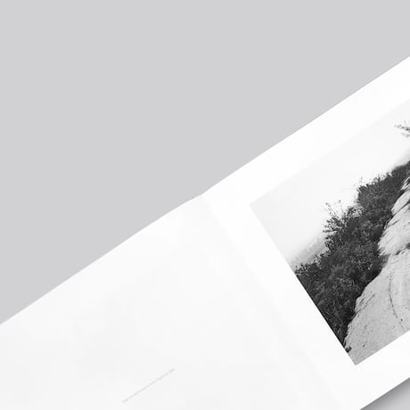 Robert Adams / Los Angeles Spring