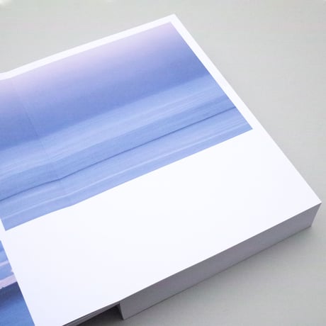 Bruno van den Elshout / New Horizons