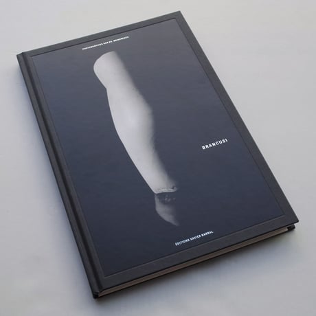 Dan Er Grigorescu / BRANCUSI