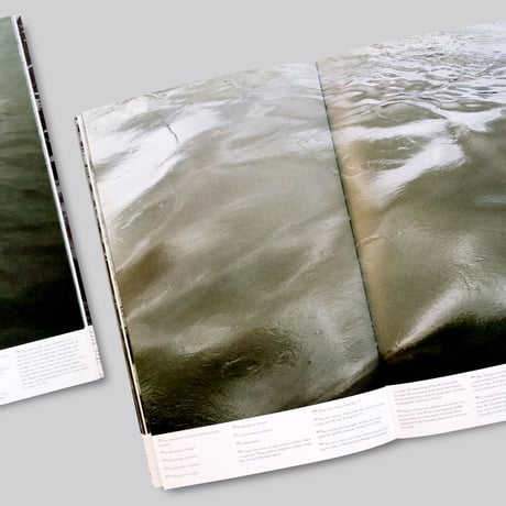 Roni Horn / Another Water