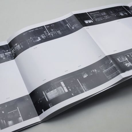 Takashi Homma / EVERY BUILDING ON THE GINZA STREET