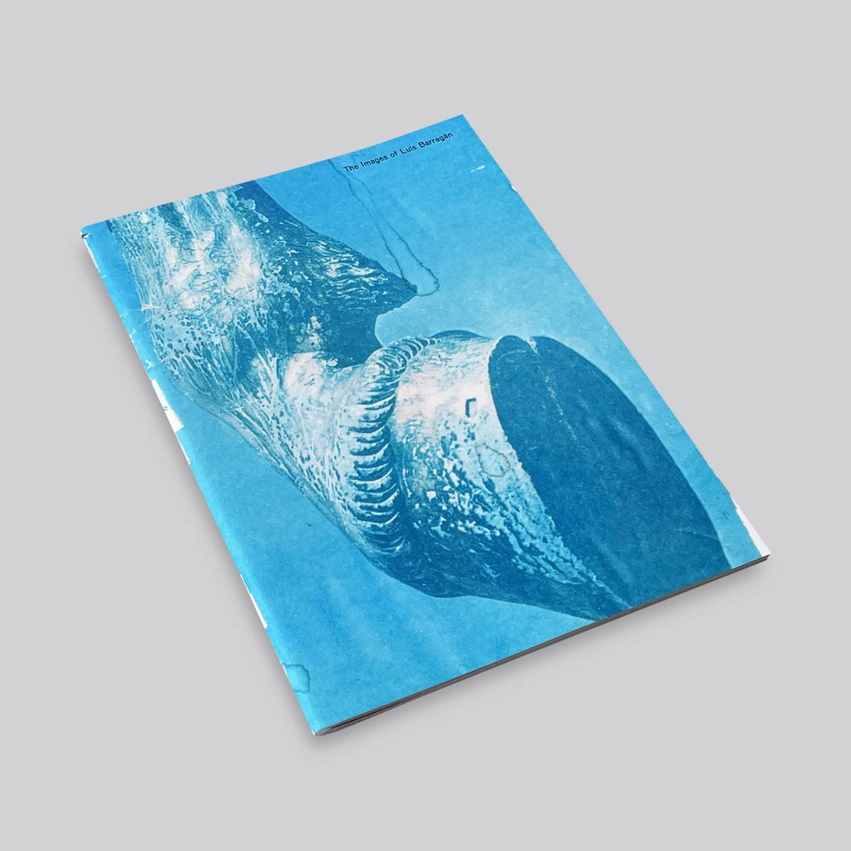 Mark Manders, Roger Willems / The Images of Lui