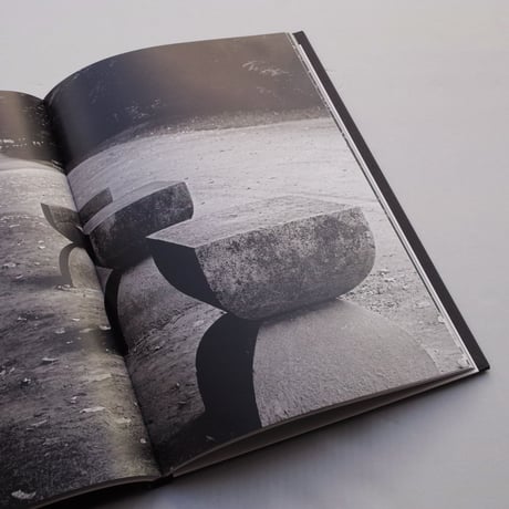 Dan Er Grigorescu / BRANCUSI