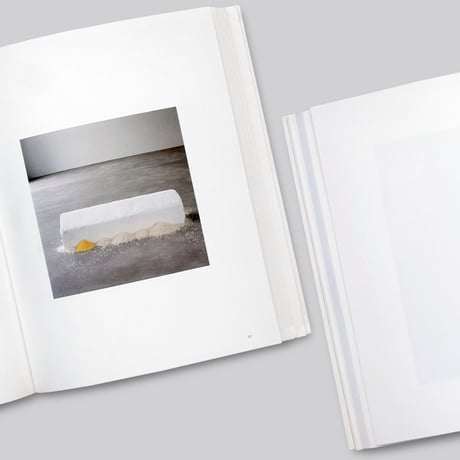 Wolfgang Laib / 볼프강 라이프
