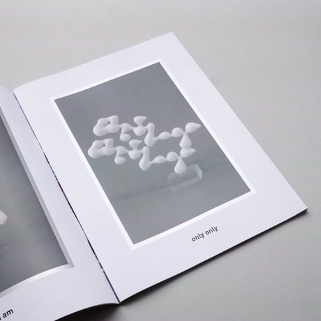 Keita Kojima / Augmented/Words in the City
