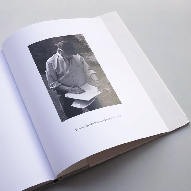 Ellsworth Kelly / Plant Drawings | POST