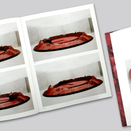 Anish Kapoor / My Red Homeland